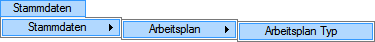 62_Stammdaten_Arbeitsplan Typ