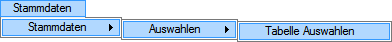 109_Stammdaten_Tabelle Auswahlen